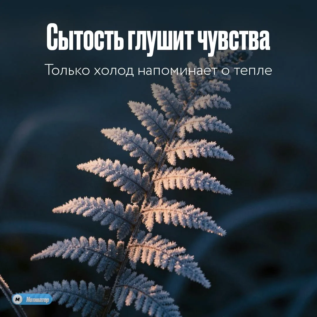 Почему мы потеряли вкус к жизни?

Мы привыкаем к теплу, сытости и комфорту. И перестаём их замечать.