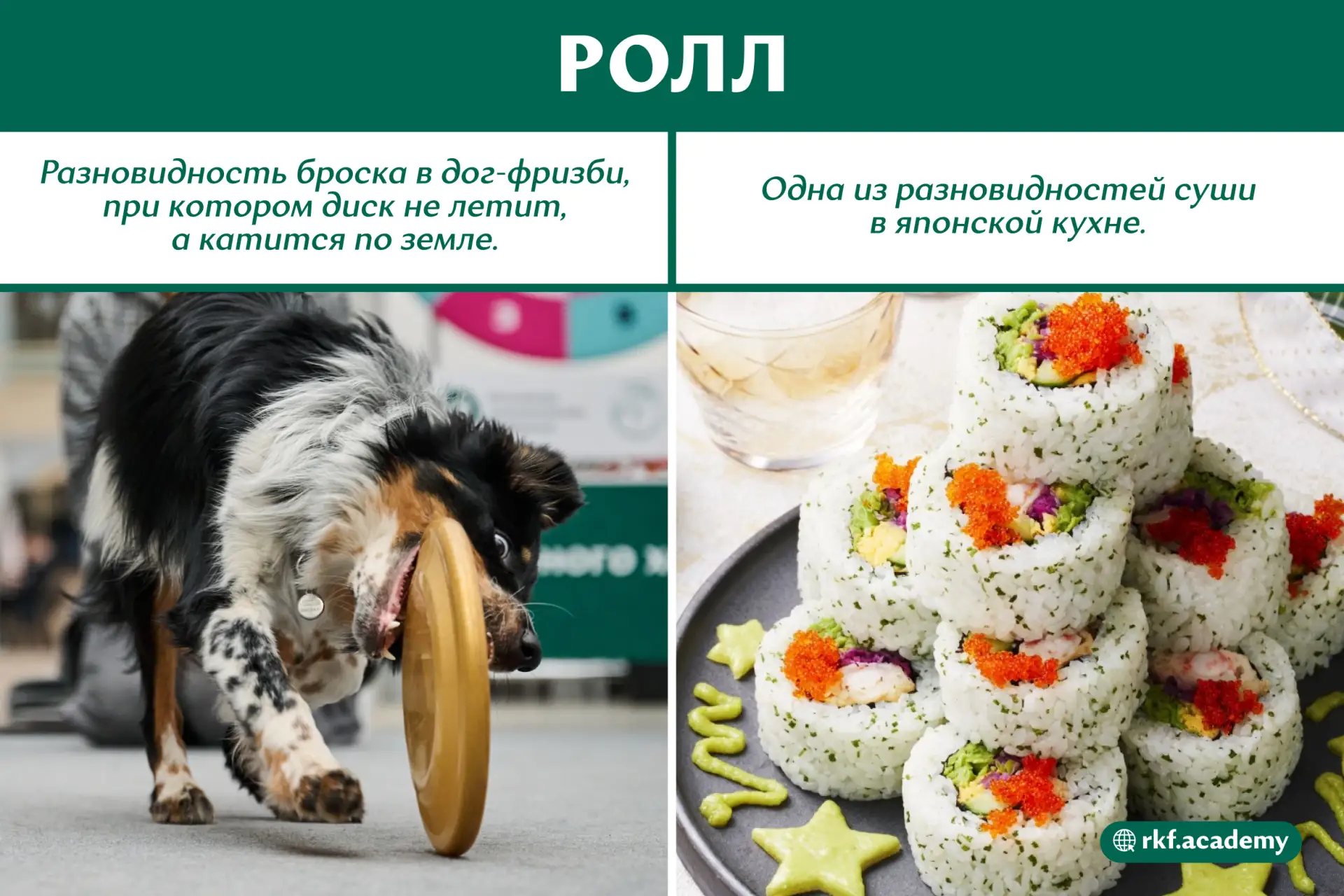 Какие ещё омонимы 🥏 из спорта с собаками вы знаете?