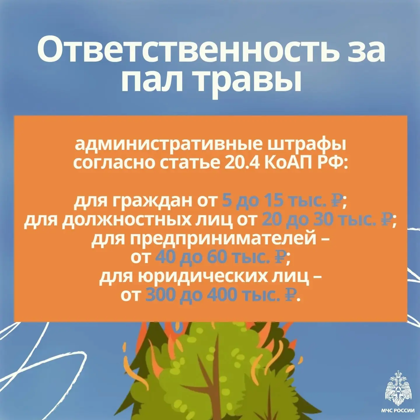 🌱 Пал травы:  ошибка, которая может дорого обойтись!  О том, что делать с сухой травой, какие бывают