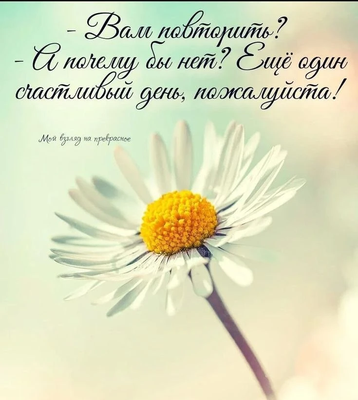 🥰 Оставляйте реакции, если понравилась открытка и делитесь с близкими ❤️

Лучшие Открытки в MAX