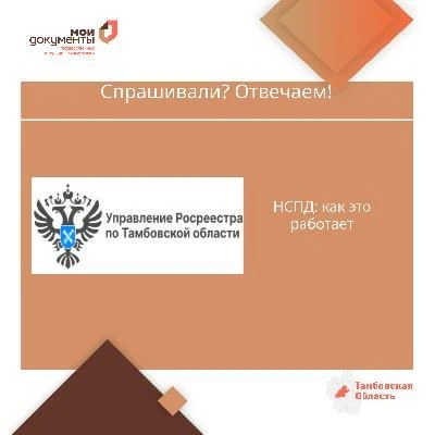 Спрашивали? Отвечаем!
Национальная система пространственных данных (НСПД) — это специальная современ