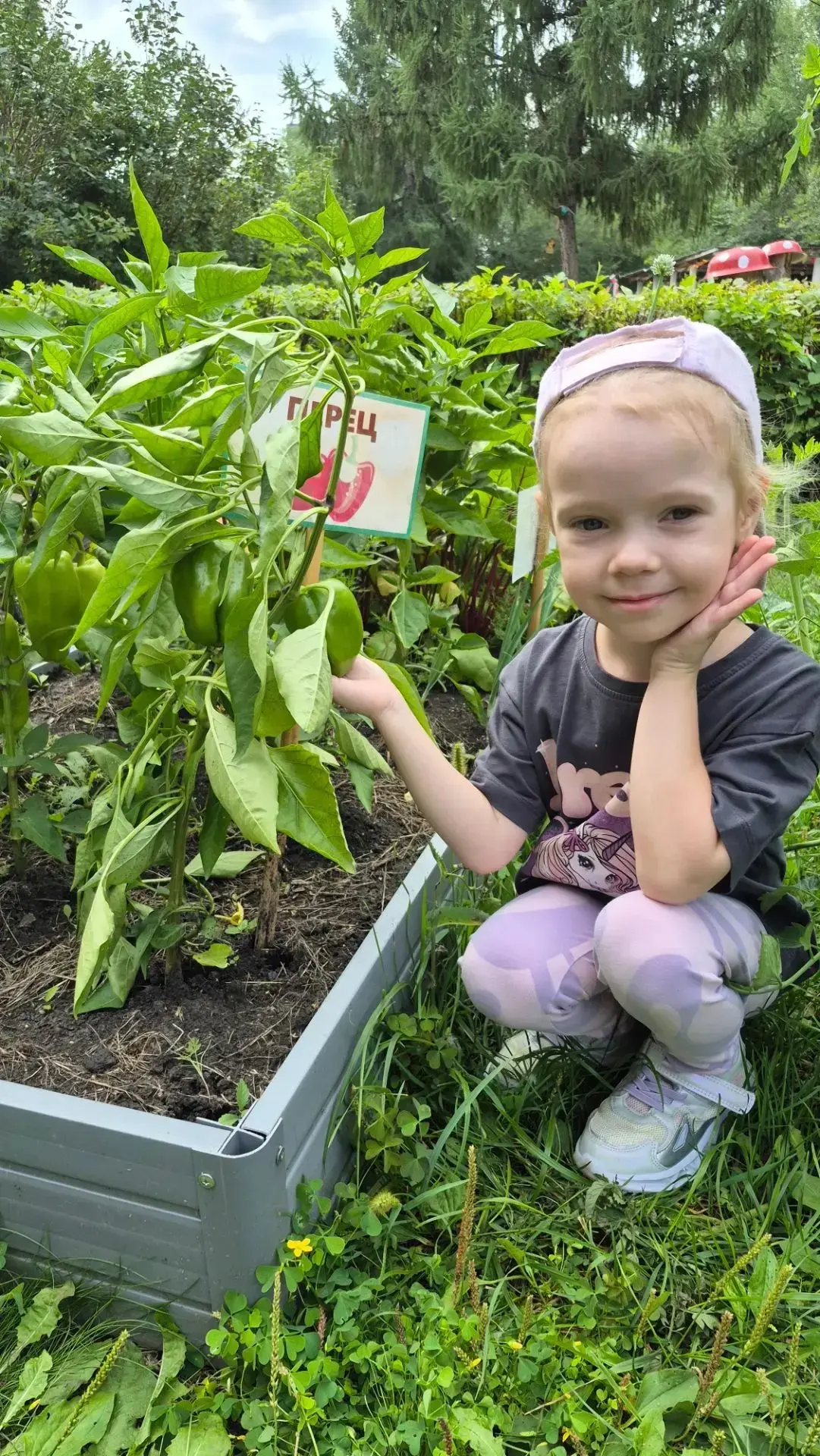🥕 Огородные чудеса!
Наши юные огородники из групп «Золотой петушок» и «Аленушка» сегодня сделали от