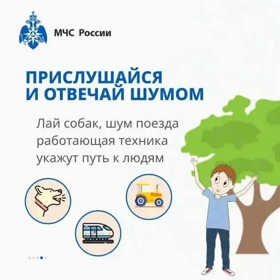 Если ты заблудился в лесу!  ⛺Если вы оказались в ситуации, когда не можете найти дорогу из леса, важ