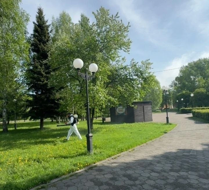 🕷 В Новокузнецке начали обработку парков и скверов от клещей  Работы пройдут на территории площадью 