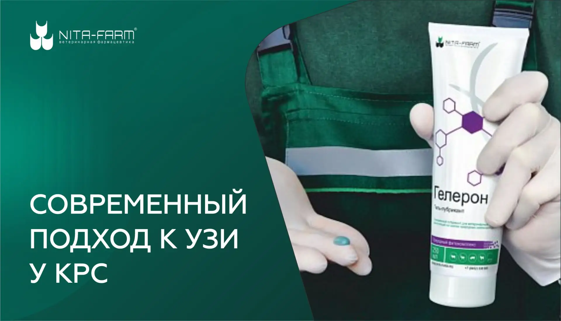 Ультразвуковое исследование (УЗИ) — неотъемлемая часть современной ветеринарной практик...