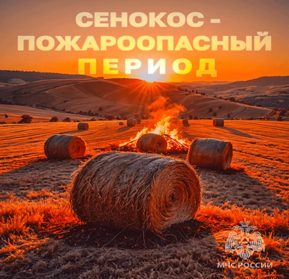 ПОЖАРНАЯ БЕЗОПАСНОСТЬ В ПЕРИОД СЕНОКОСА                                                ...