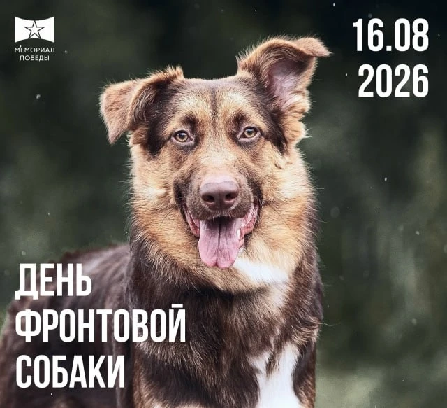 День фронтовой собаки в 2026 году 🐕

❤️16 августа, с 12:00 до 17:00.
📍Татышев-парк, Поляна суслико