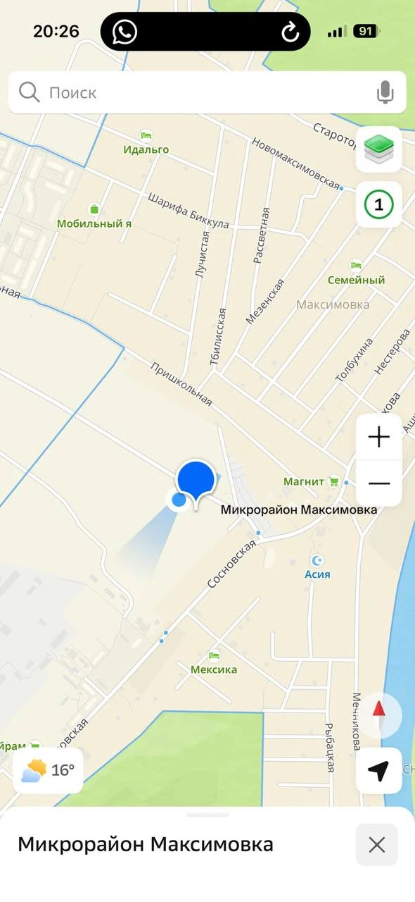 Неизвестные в Максимовке вырубили лесной массив и разбросали строительный мусор.