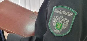 Нижегородские райпо поймали на обороте продукции сомнительного качества.