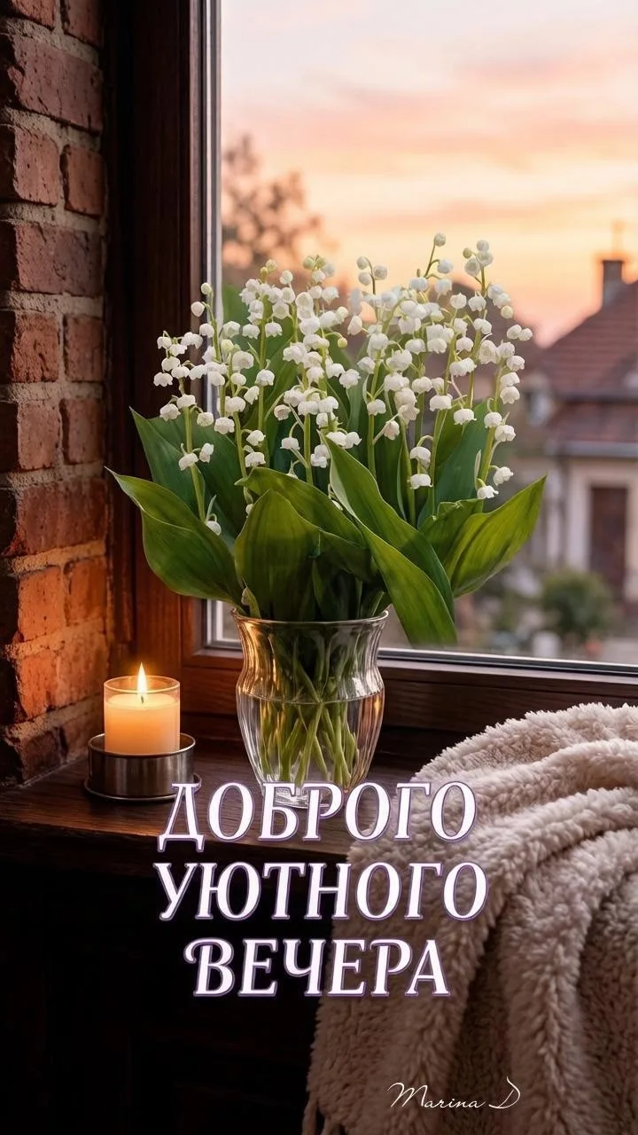#хорошеговечера