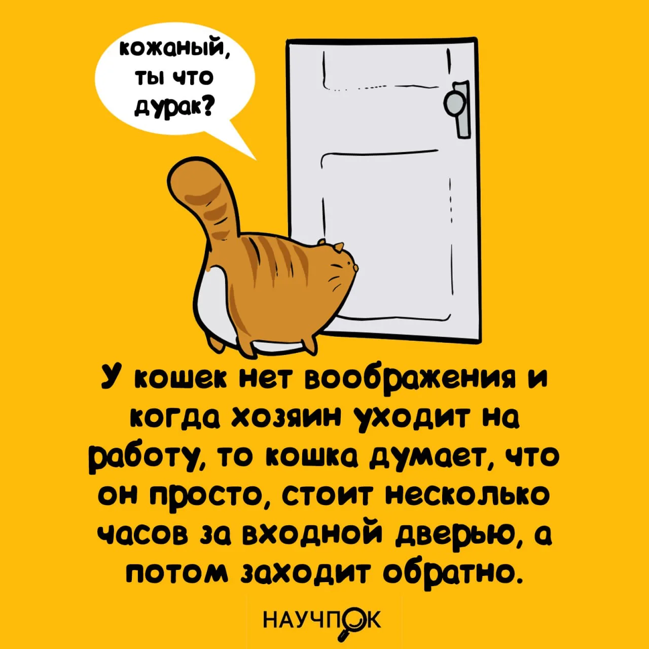 Научпок | Подписаться