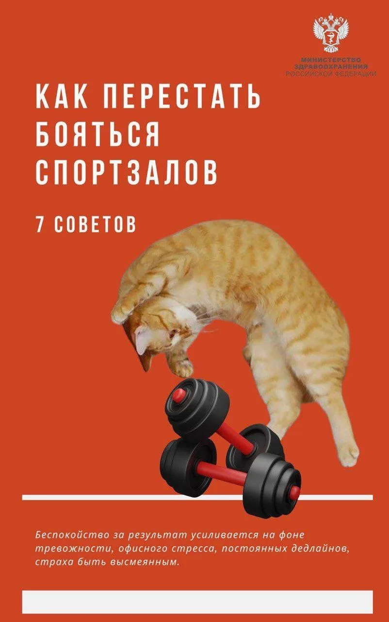 🫣 Как перестать бояться спортзалов?