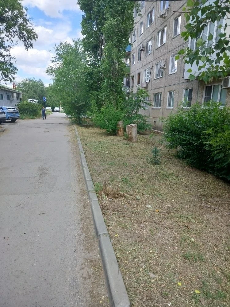 Покос травы по Университетский 87