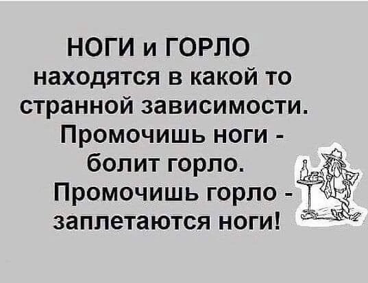 Изображение 1 к публикации «Ёжка | Женский Юмор»