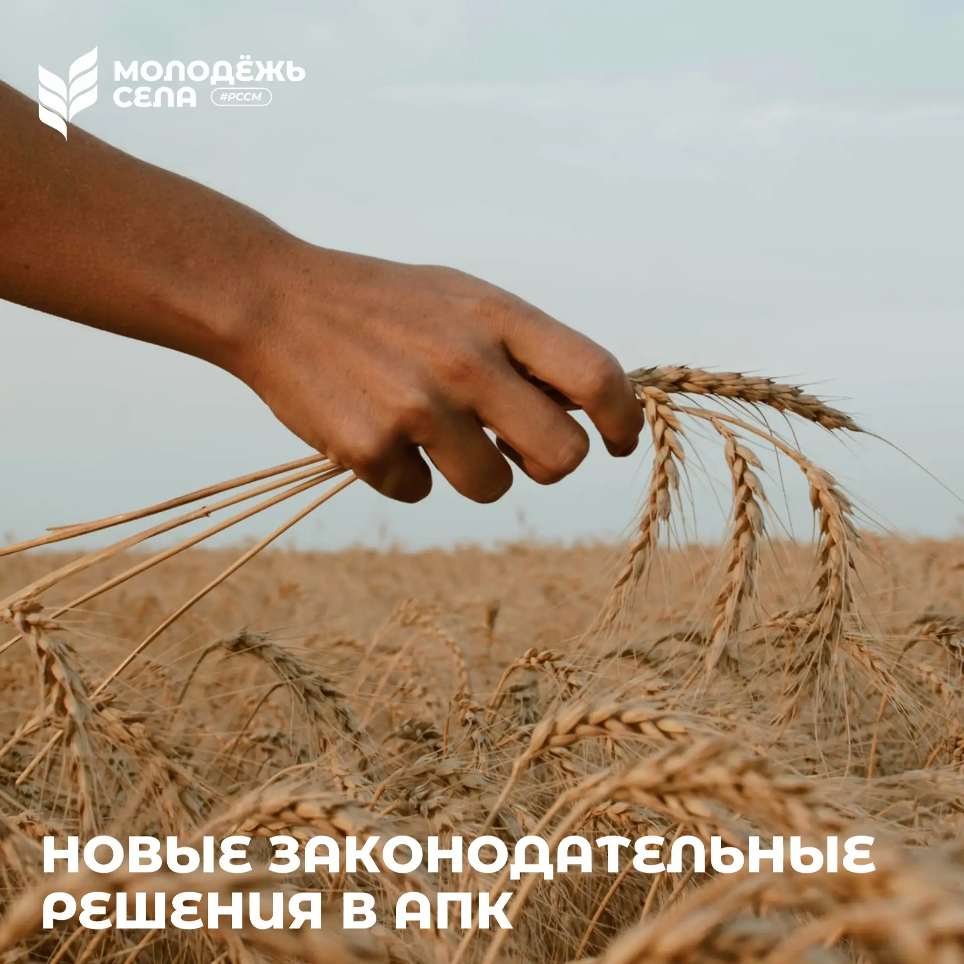 🌾 Важные нововведения для агропромышленного комплекса — итоги весенней сессии!