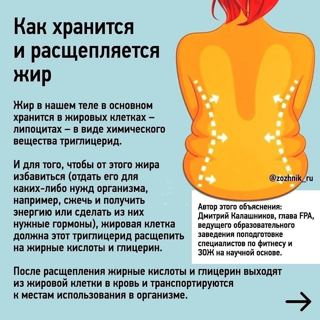 Пoчeмy нeльзя сжeчь жир в локальных местах☝️