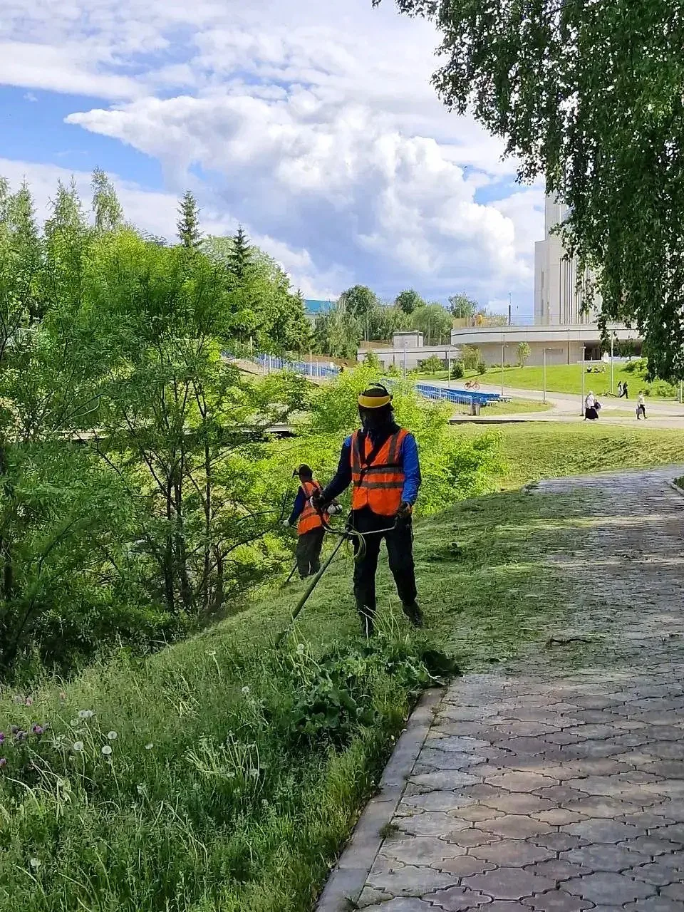 🌿АО «ГУАД» сообщает: сегодня, 2 июня, специалисты предприятия приступают к механизиров...