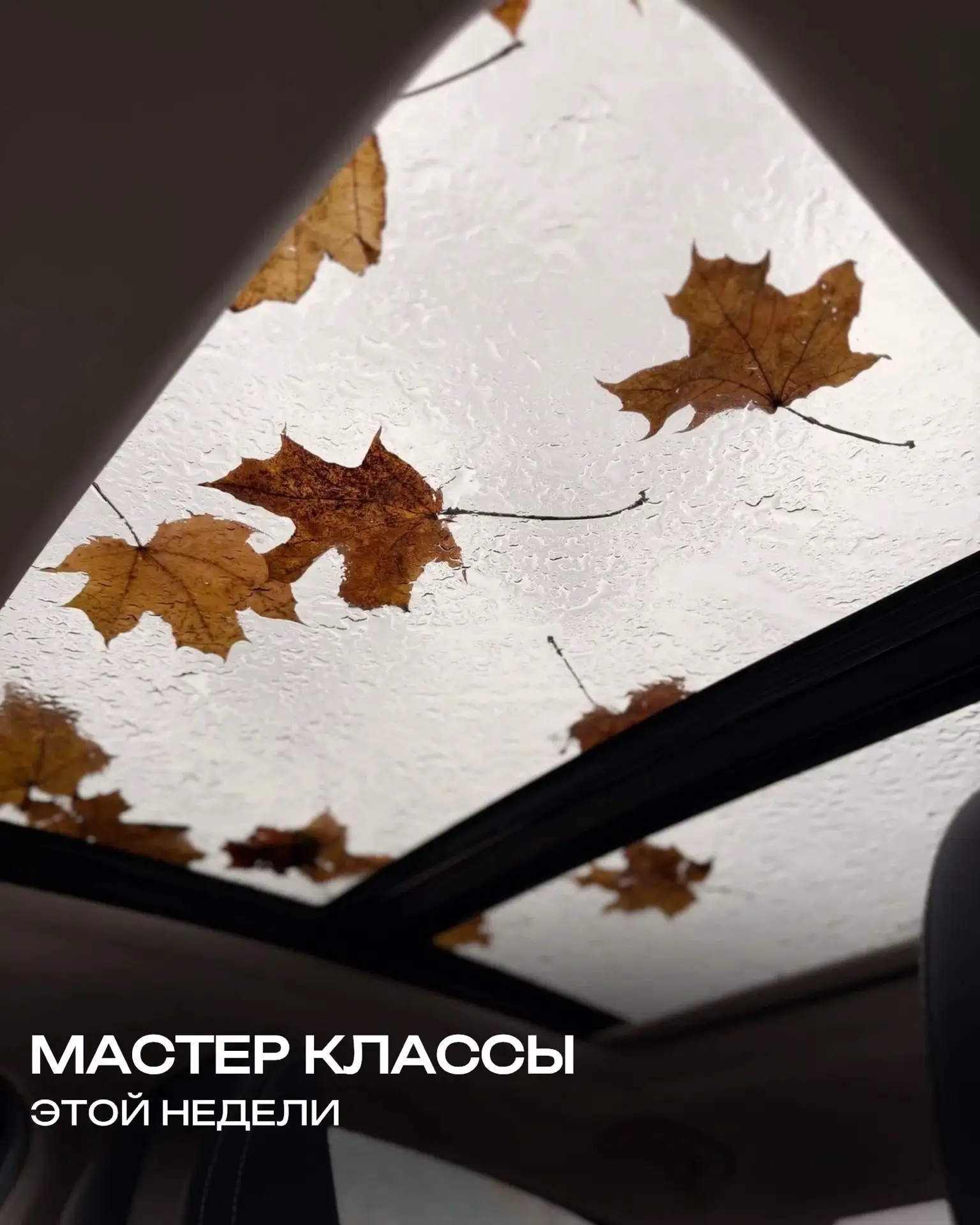 #АФИША_ПРООТДЫХ_ТЛТ