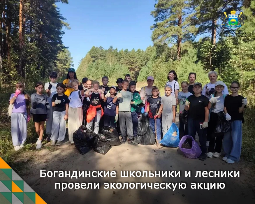 🌿 Чистый лес — чистая совесть