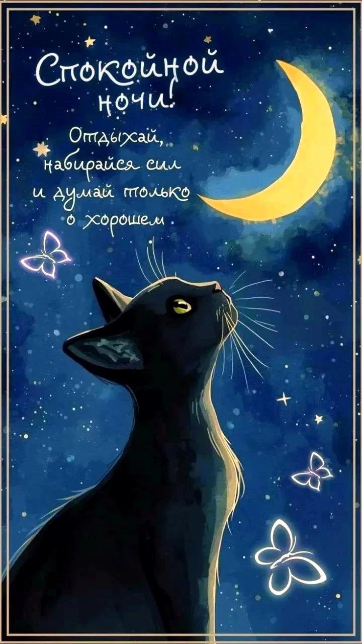 Милые открытки 😊 подписаться