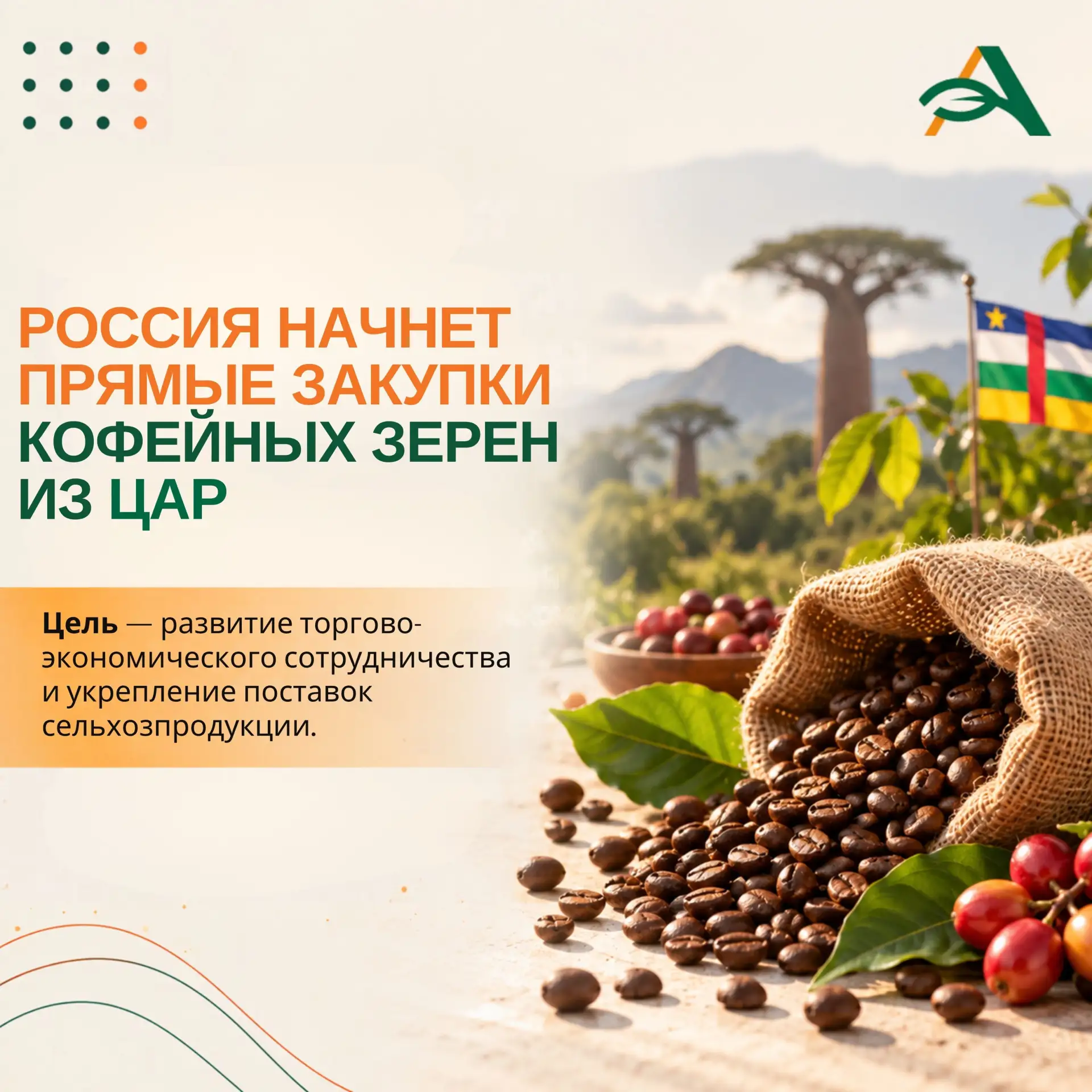 ☕️ Россия начнет прямые закупки кофейных зерен из ЦАР