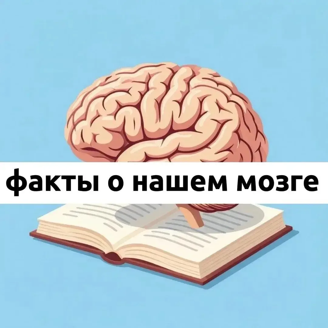 📌 Самые интересные факты о мозге 

Ученые и врачи до сих пор не разгадали всех загадок головного мо