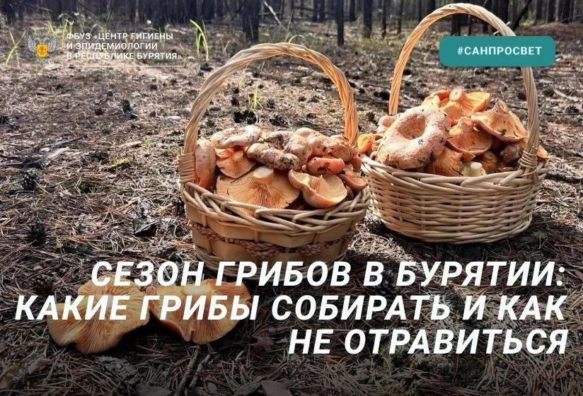 📣Что важно 
знать о грибах? 

Напоминает
Роспотребнадзор⬇️

▫️не знаешь 
гриб - не бери

▫️собирайт