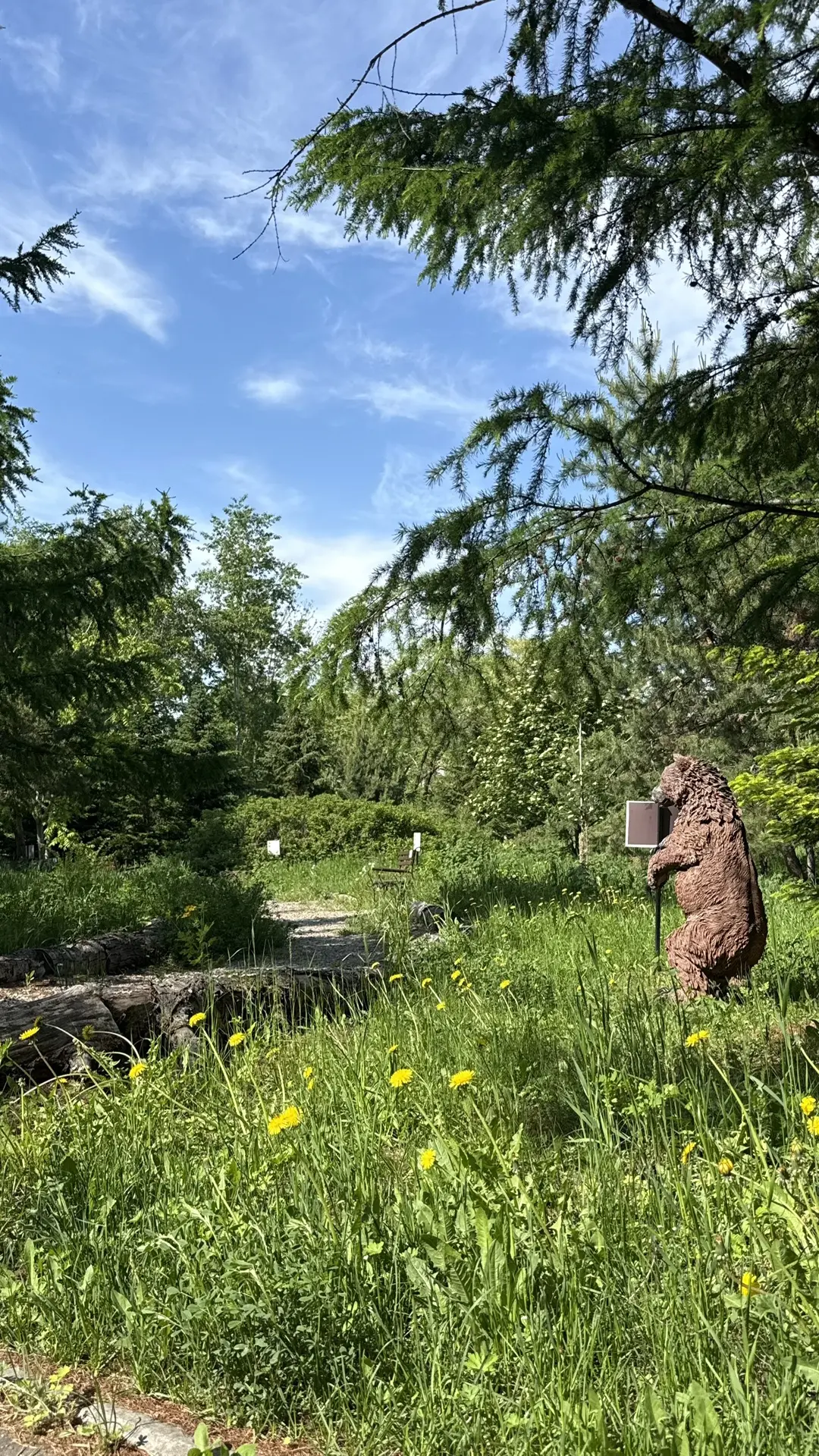 Доброе утро! 🌞
