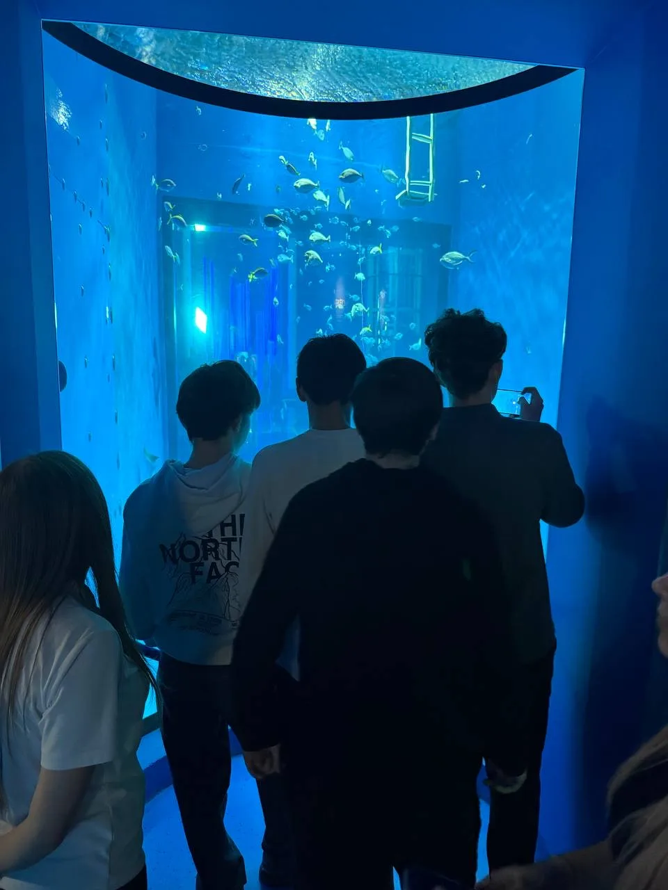 Погружение в океанские глубины: 9 «Г» в «Планете Океан» 🌊🐠  Учащиеся 9 «Г» класса совершили удивител