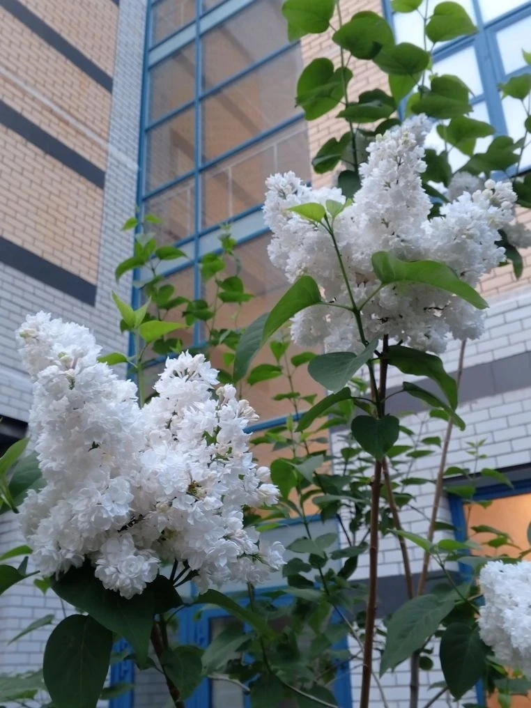 Дорогие друзья! Мы открываем летний сезон лекториев и мастер-классов! Нас ждет активное...