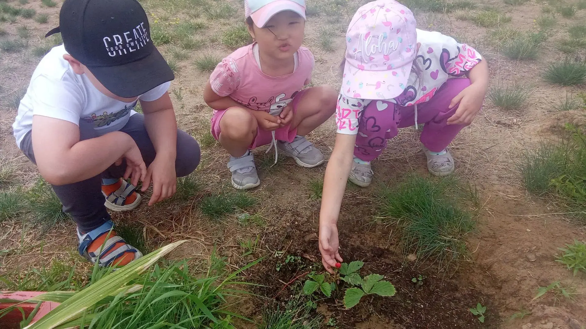 🍓 Кто ж не любит клубничку?!