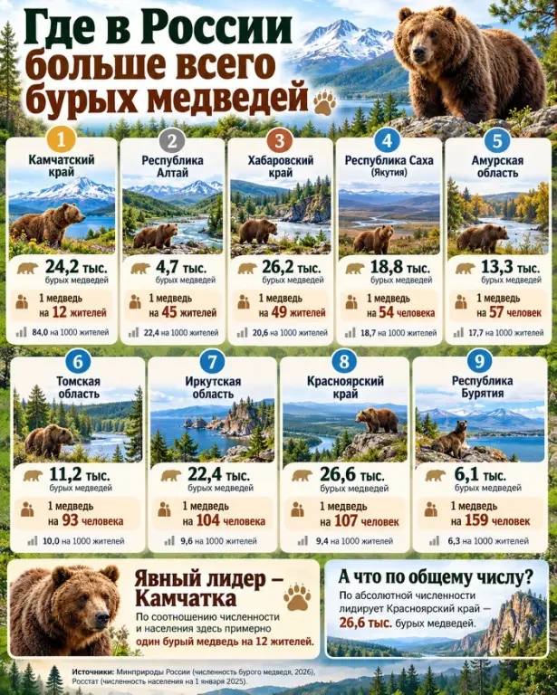 🔹 И к вопросу о медведях ...