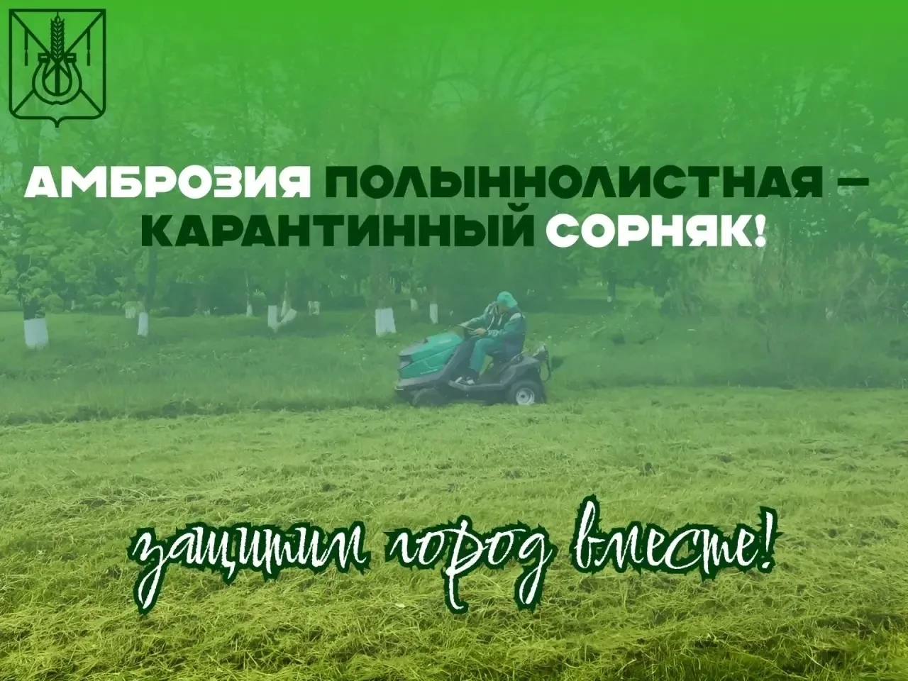 Не дай чужой траве съесть твой двор 🌿

Ты выходишь утром во двор — и вдыхаешь. Но вместо свежести —