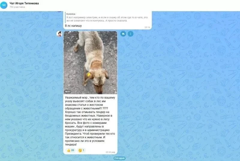 Жители сообщают: в Ачинском округе бездомных собак вывозят в лес

Сегодня в чате мессенджера «МАХ» г
