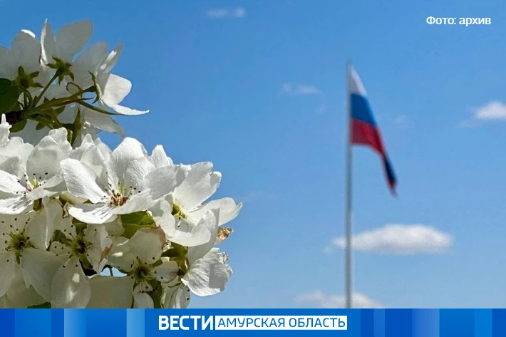Туманы ночью и потепление днём: прогноз погоды в Амурской области на 27 мая  Ночью ожидается небольш