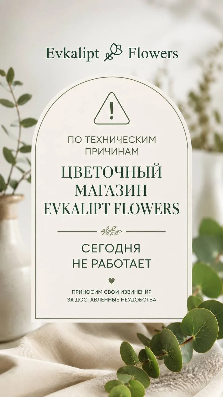 🌿 Дорогие друзья!