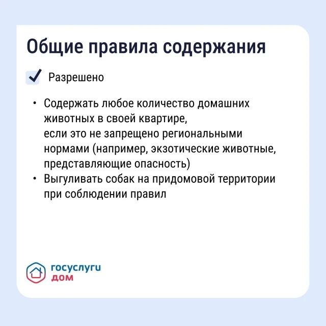 Проживание животных в многоквартирном доме связано с определёнными обязанностями. Разбираемся, как в