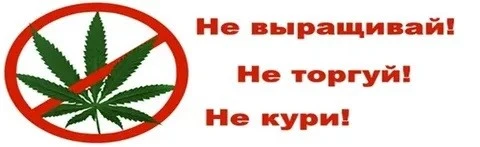 📌Акция "Единый день борьбы с дикорастущей коноплей"
Целью акции является выявление и уничтожение оч