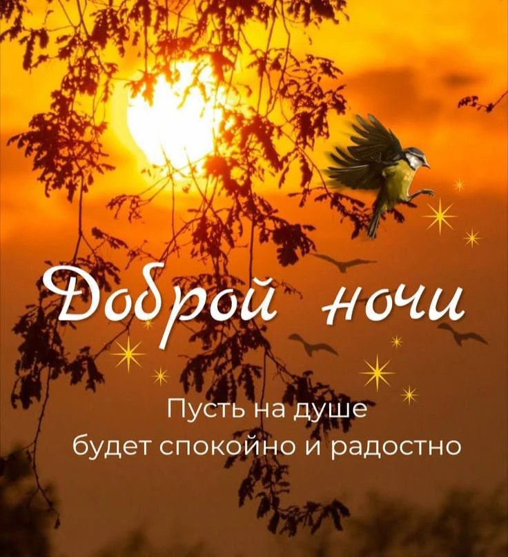 Добрый вечер 🌙