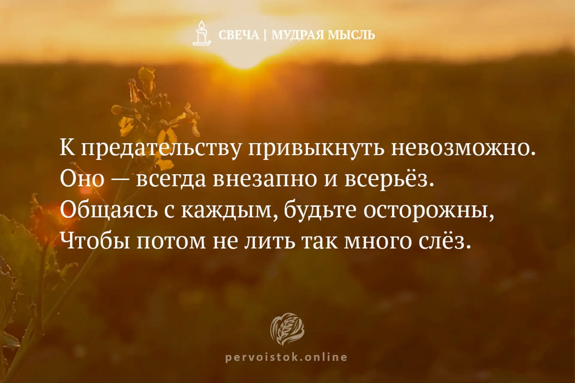 #СвечаДня → мудрость, воспринятая с вечера. #НаПодумать…