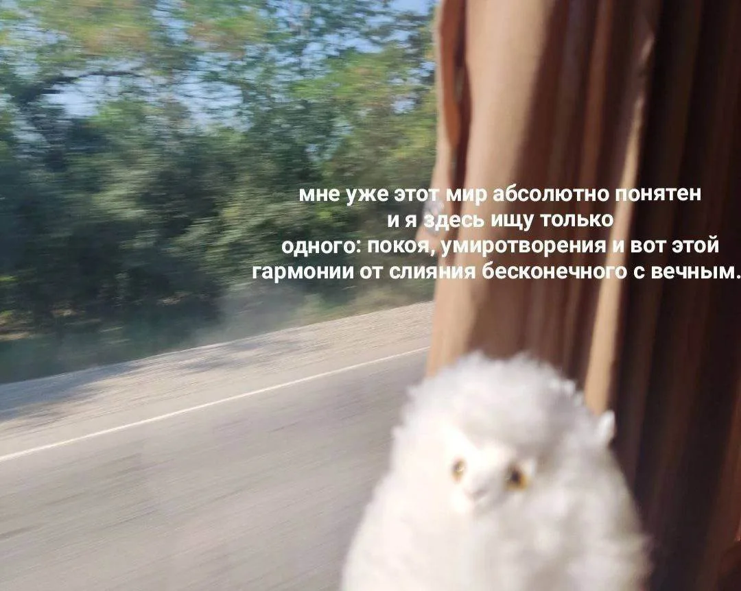Ставь лайк! ❤️