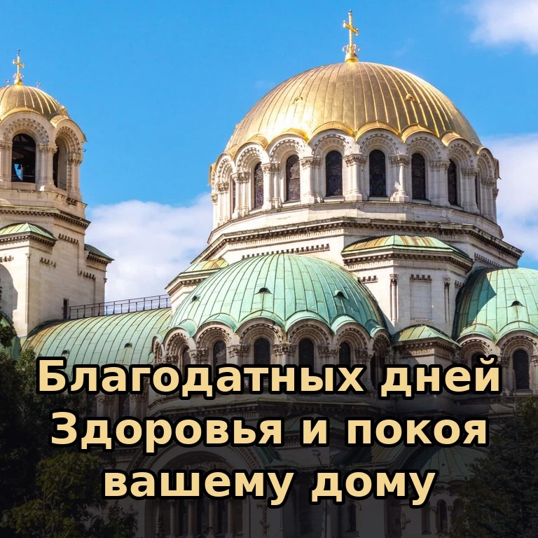 🕊 Пусть каждый день приносит вам новые силы, добрые встречи и повод для благодарности....