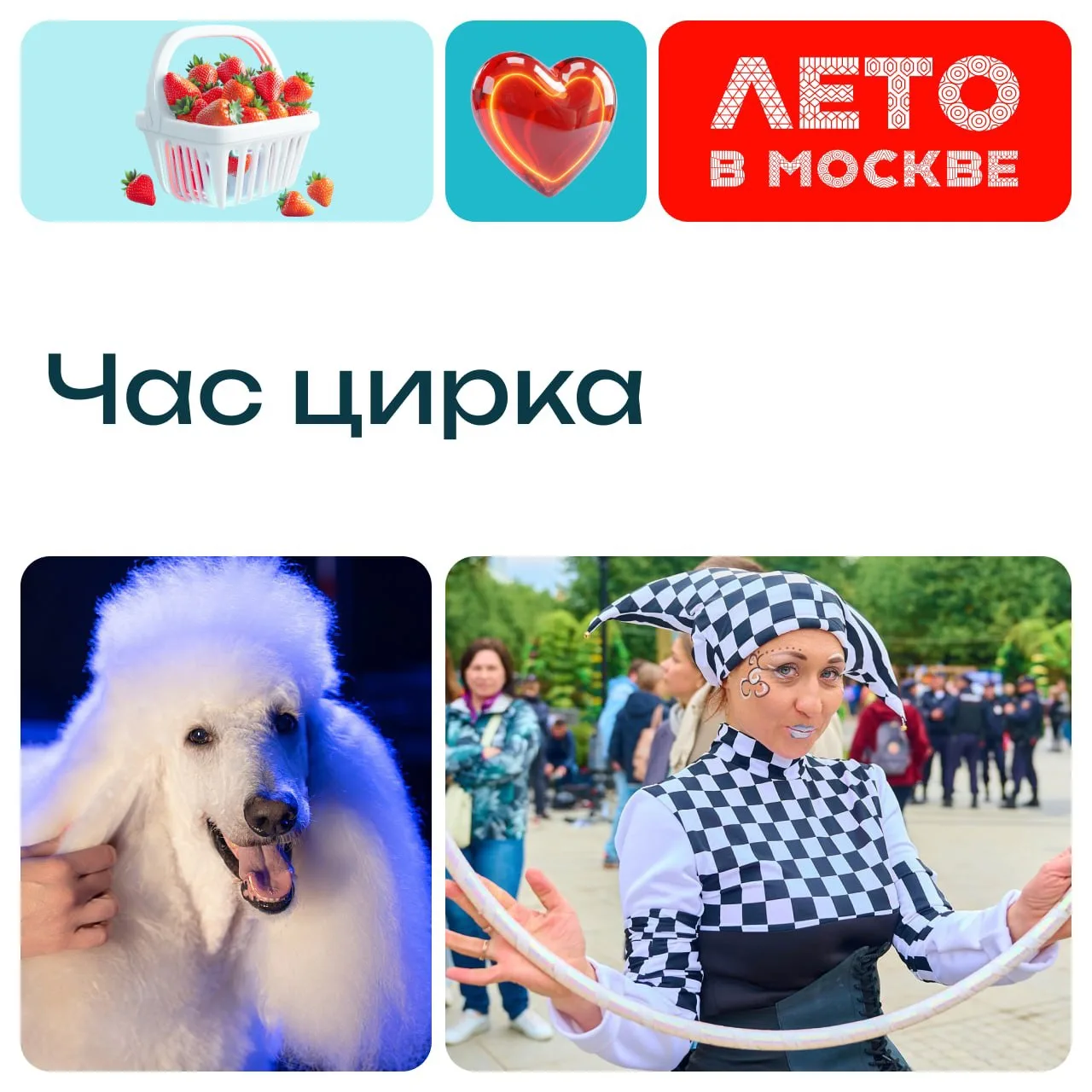 Любишь яркие шоу? Тогда загляни в парк «Сад будущего» в эту субботу. Здесь тебя ждет ци...