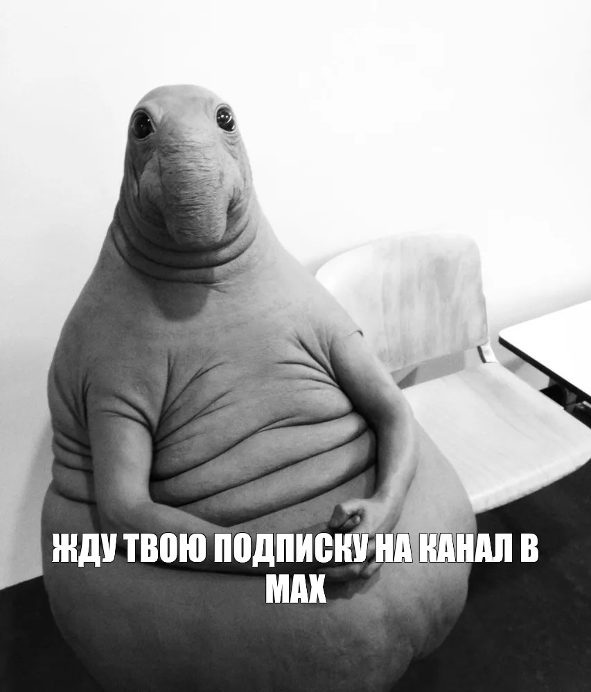 ⚡️ Хотите быть в курсе всего и сразу?