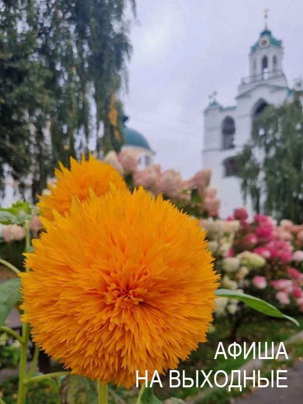 Мастер-класс в шатре за Угличской башней, вдохновляющее выступление ансамбля «Светилен»...