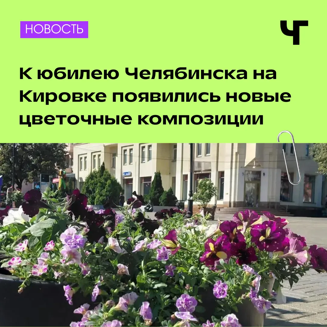Кировка зацвела 😍🌸