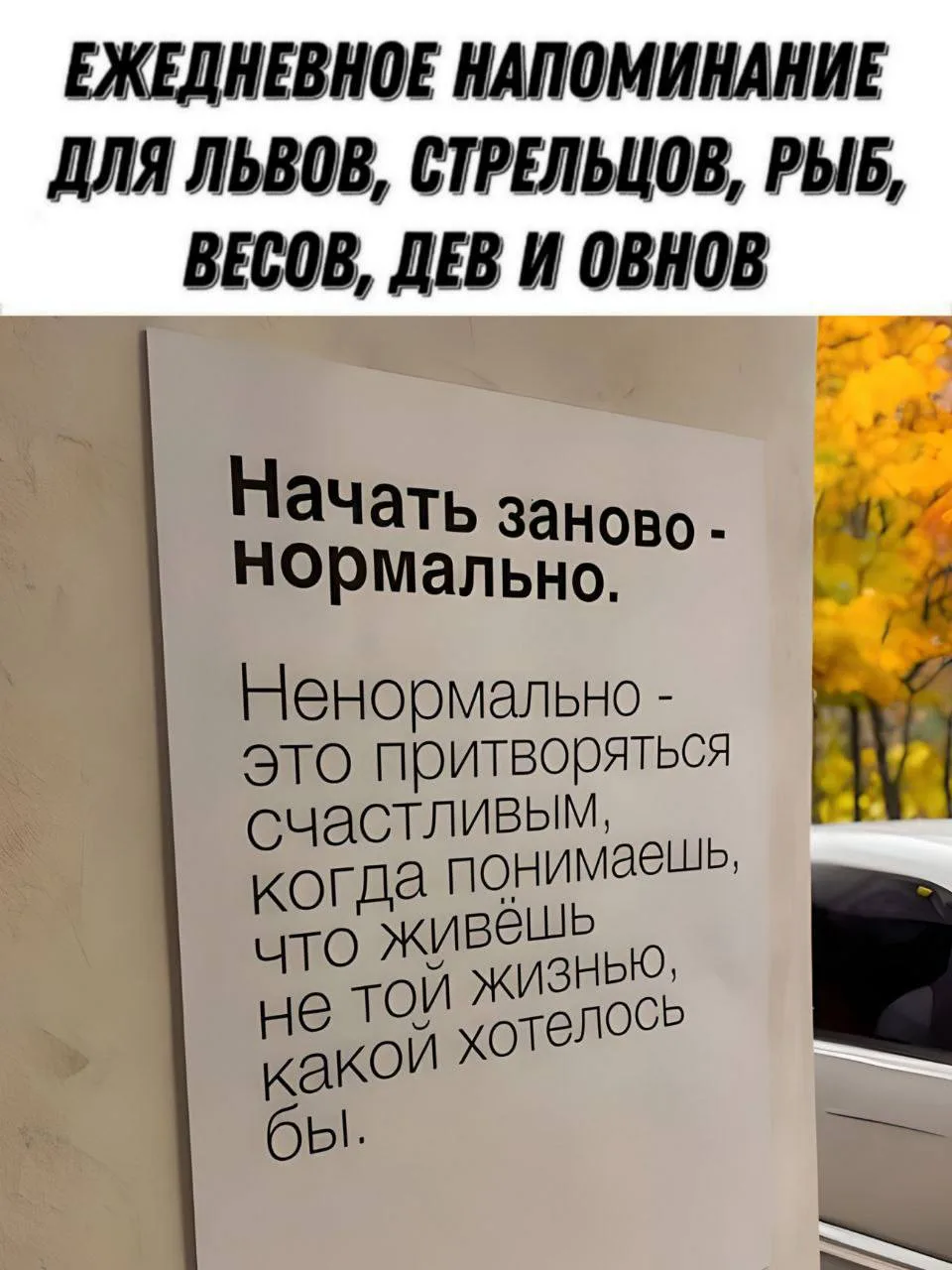 Ежедневное напоминание: