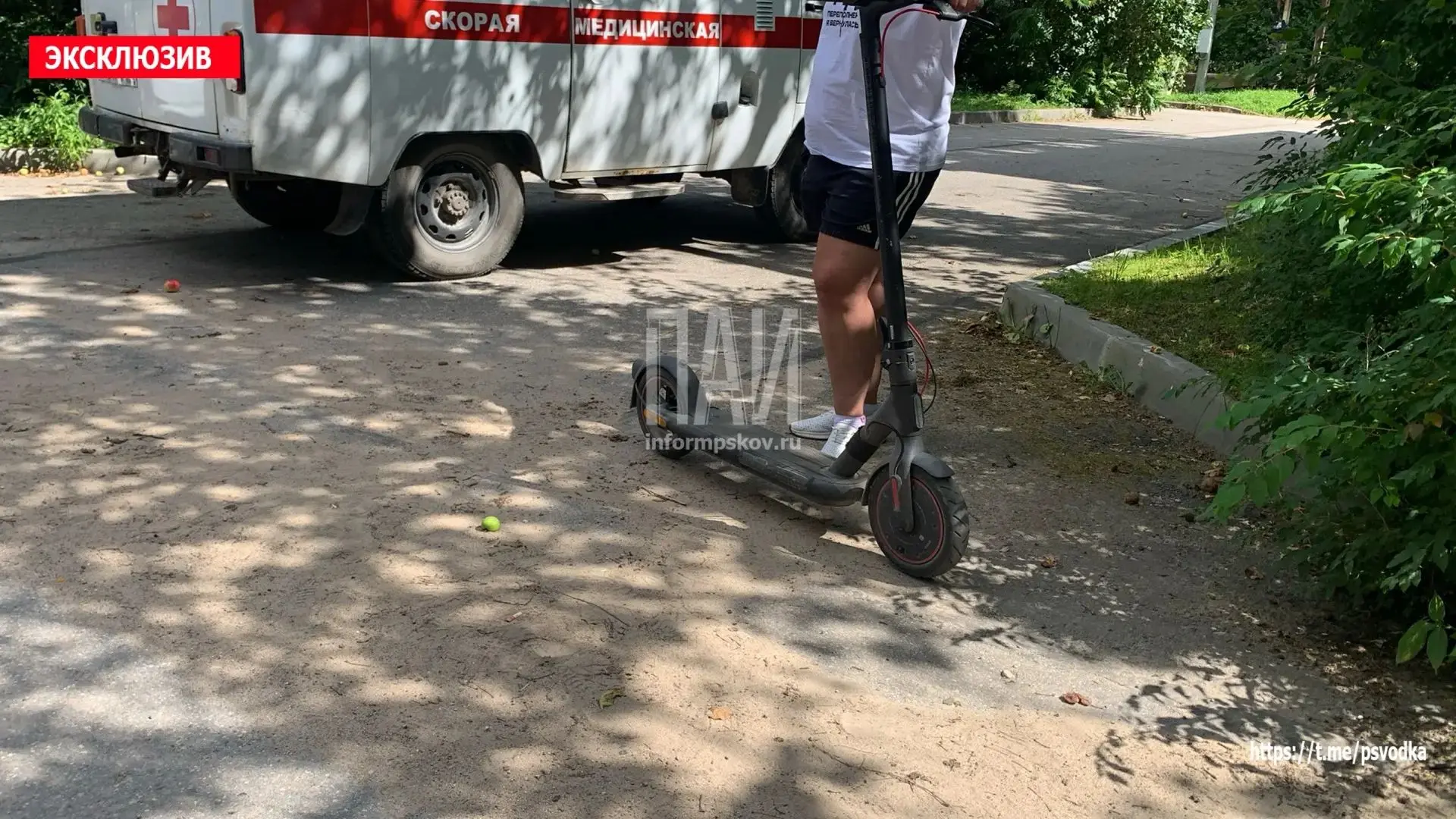 Столкновение автомобиля KIA и электросамоката произошло в Печорах

🚨 Авария произошла на улице Мели