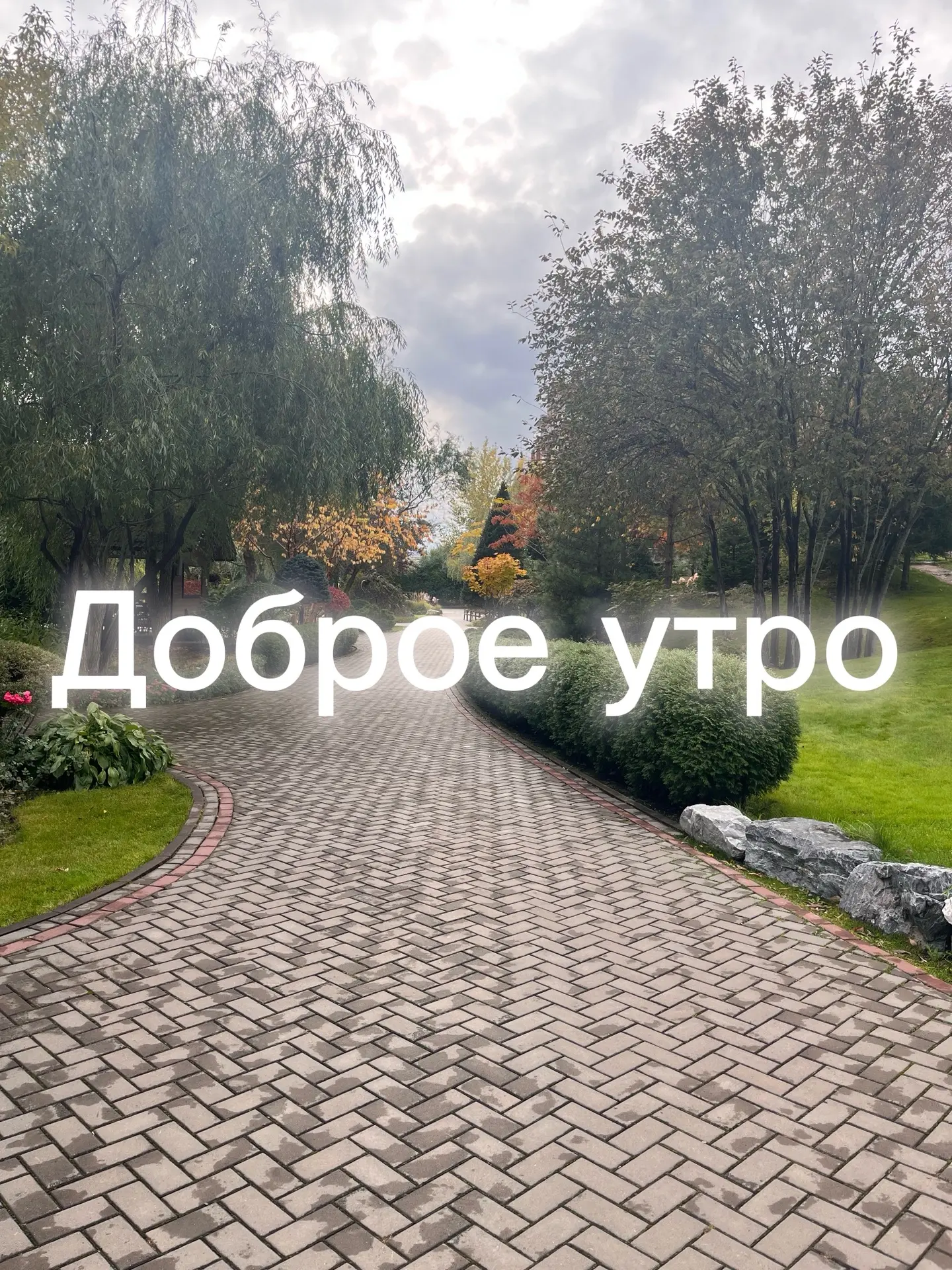 Доброе утро!