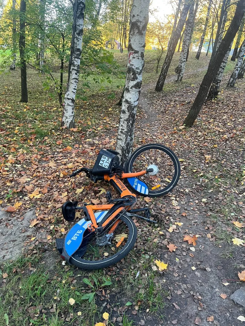 Эх, а с арендным транспортом у нас все стабильно.